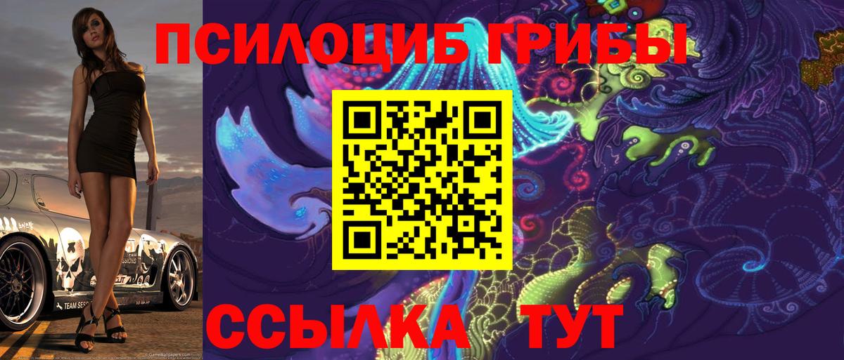 Галлюциногенные грибы Psilocybine cubensis Электрогорск